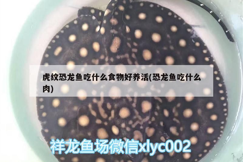 光特億