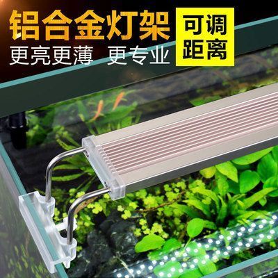 森森的魚缸燈怎么樣好不好