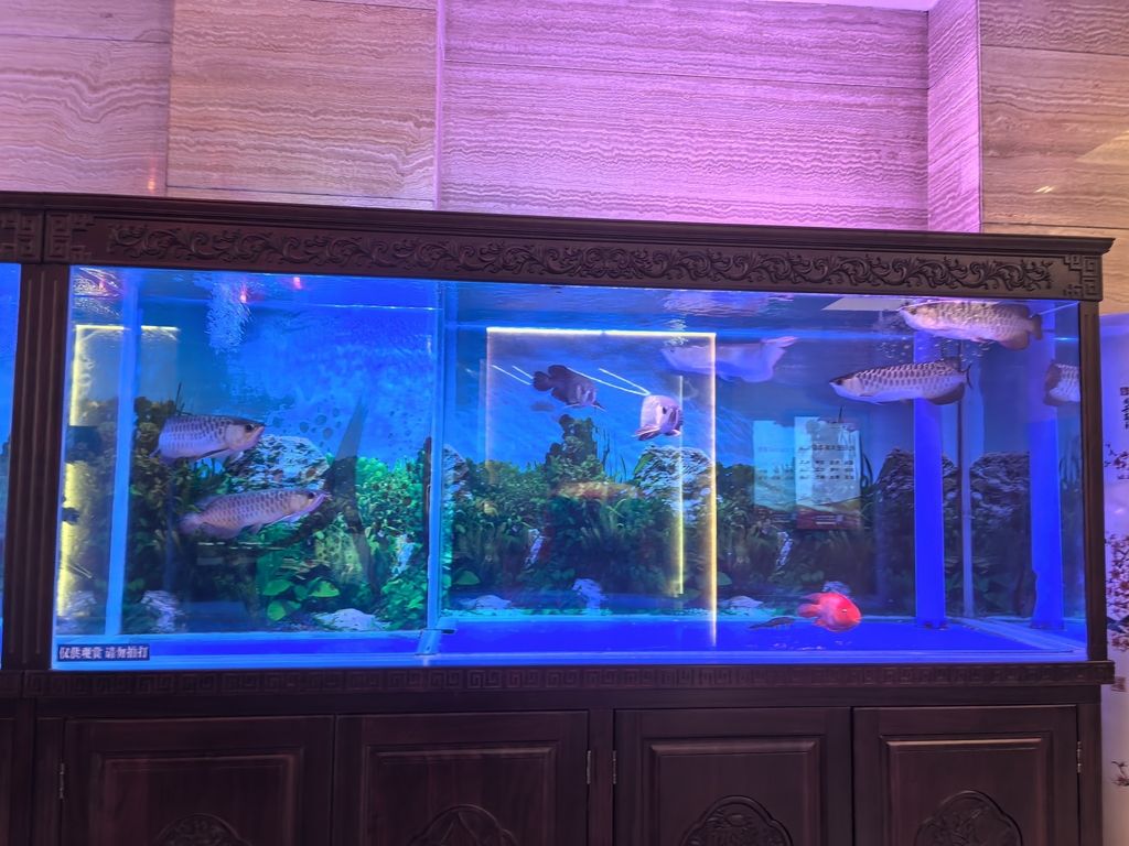 富麗華