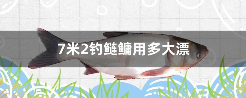 7米2釣鰱鳙用多大漂