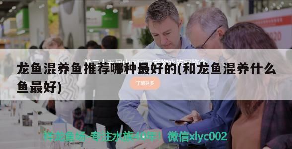 赤峰魚缸維修電話號碼查詢（專業皮革裝潢設計）