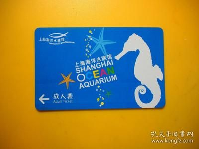 水族館一般賣什么東西（水族館一般會出售觀賞魚、魚缸及水族箱、魚糧和魚糧和魚糧和魚藥）
