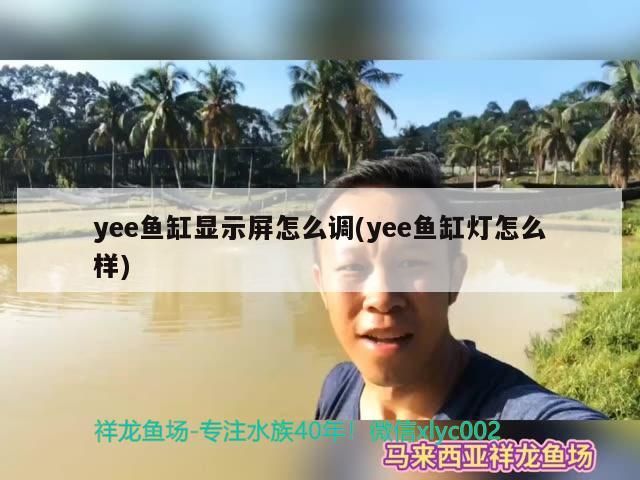 yee魚缸顯示屏怎么調(yee魚缸燈怎么樣)