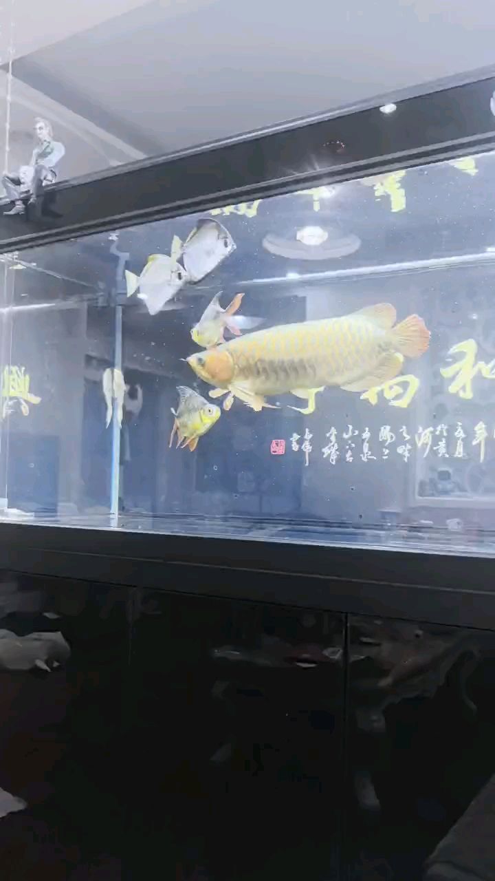 底蘊還是有