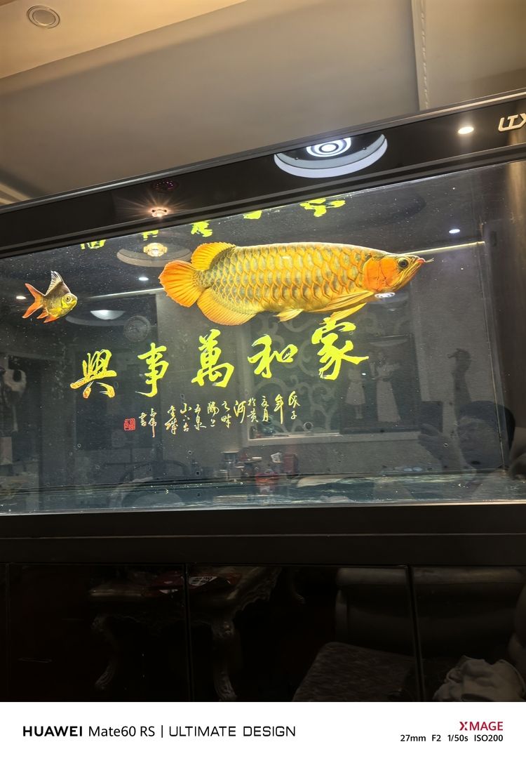 繼續餓