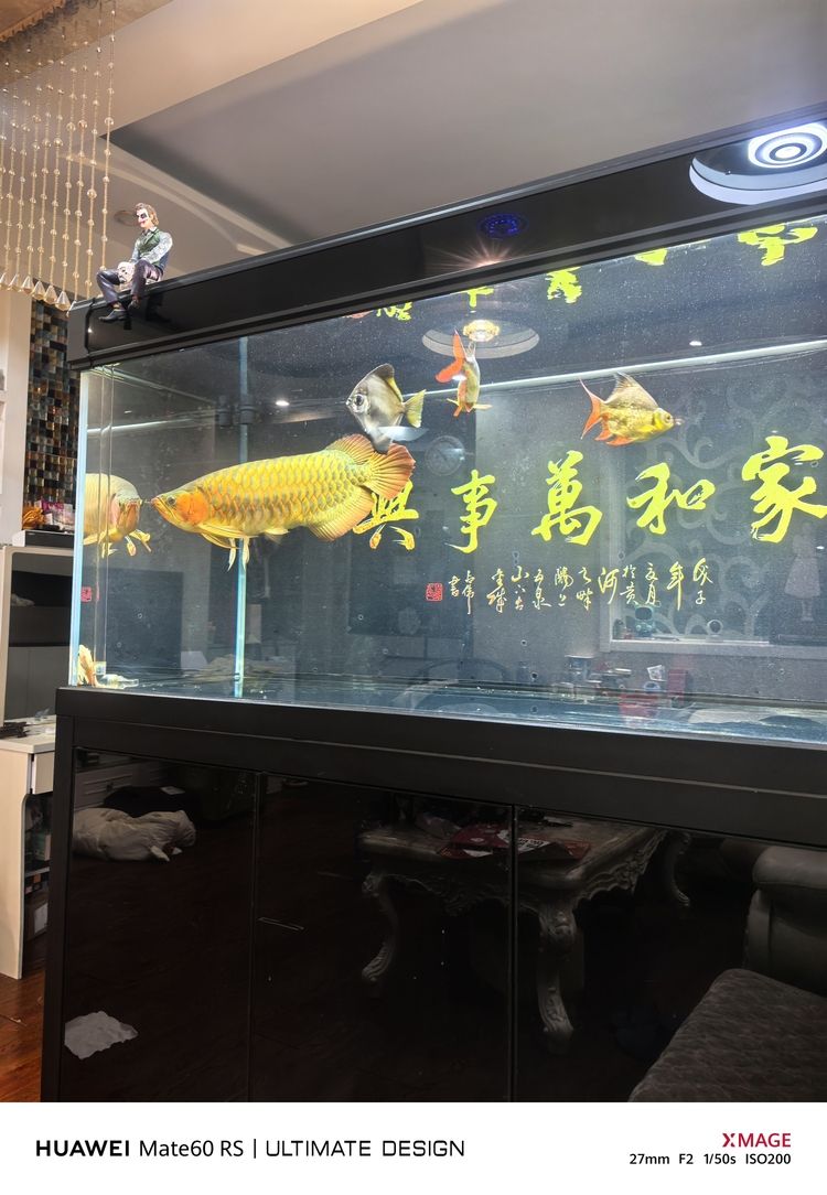 繼續餓
