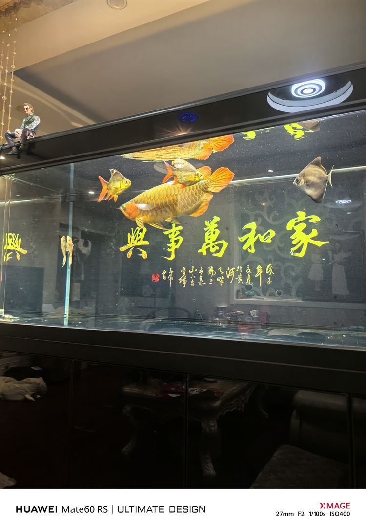 繼續餓