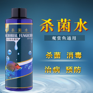 龍魚(yú)招財(cái)魚(yú)混養(yǎng)好嗎：龍魚(yú)與招財(cái)魚(yú)混養(yǎng)，打造獨(dú)特水族景觀與寓意融合
