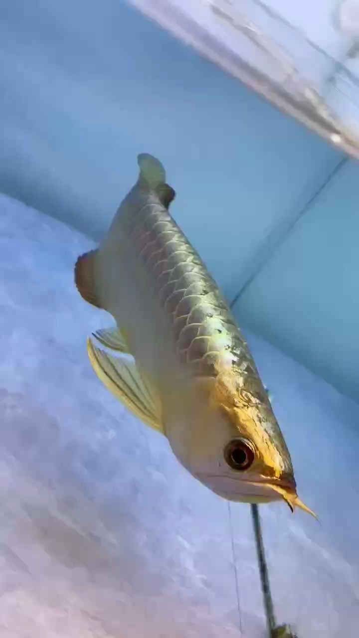 小時光