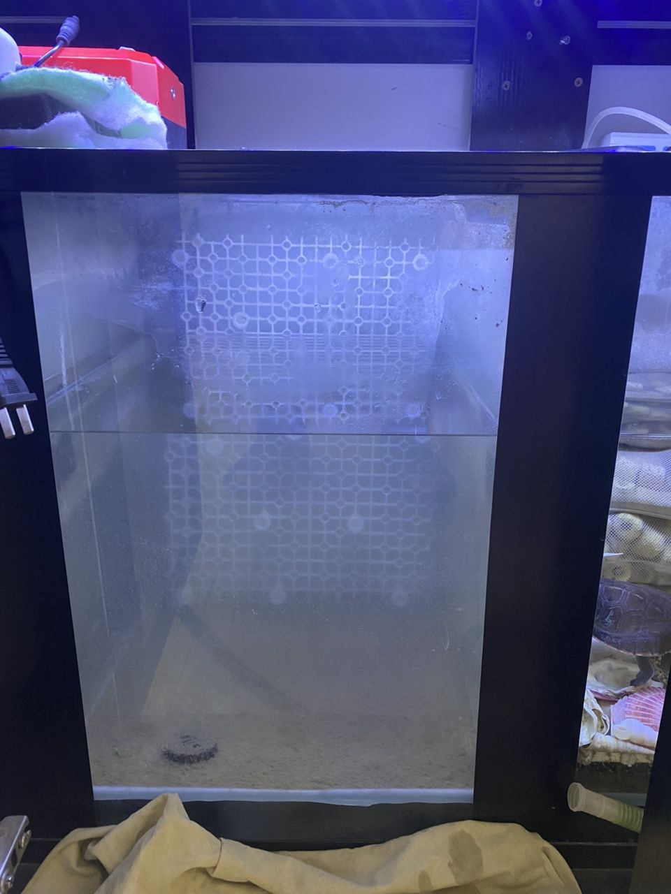 清洗濾材 清洗濾材 龍魚論壇 第1張