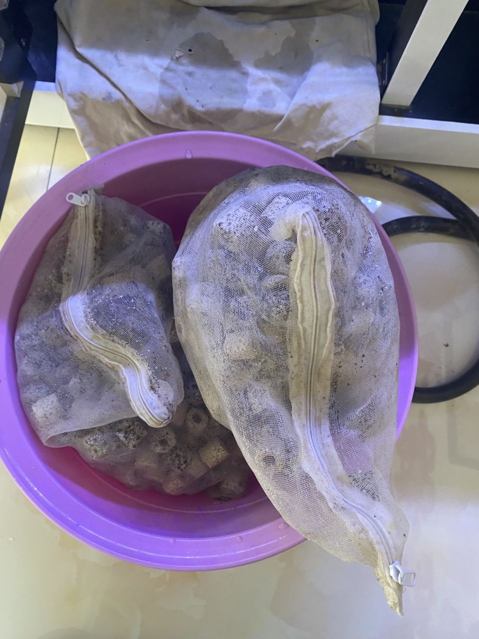 清洗濾材 清洗濾材 龍魚論壇 第2張