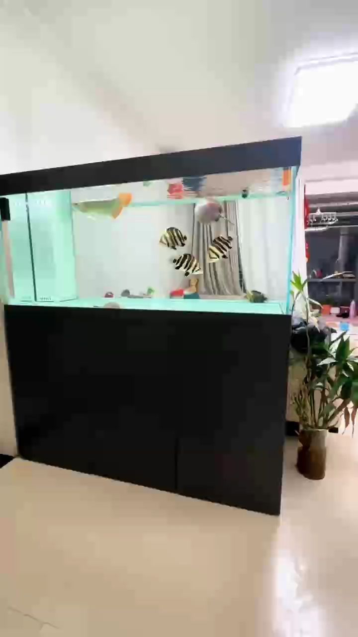 越來越有畫面了