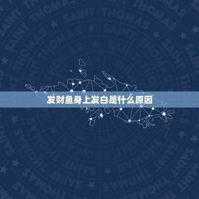 豬鼻龜身上發(fā)白怎么辦圖片：豬鼻龜頭發(fā)白怎么辦，龜頭發(fā)白怎么辦，