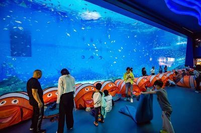 開一家水族館需要些什么東西呢視頻（開一家水族館需要準備什么）