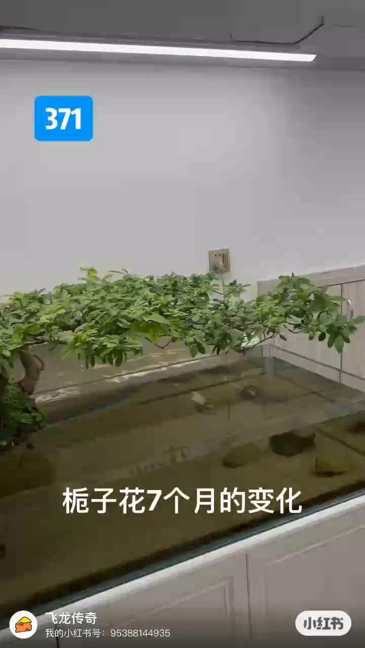 靜靜的看