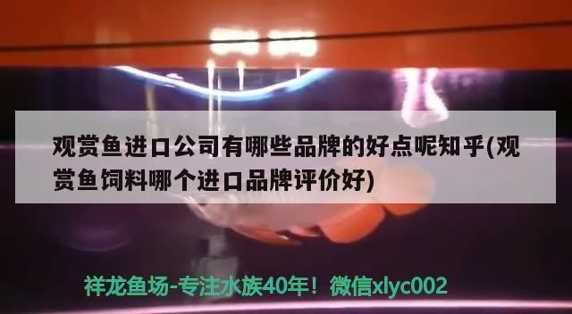 龍魚缸換水需要凈水器嗎vs祥龍魚場:龍魚缸換水的基本要求和注意事項 vs祥龍魚場 第5張 龍魚缸換水需要凈水器嗎vs祥龍魚場:龍魚缸換水的基本要求和注意事項 龍魚缸換水需要凈水器嗎vs祥龍魚場:龍魚缸換水的基本要求和注意事項 vs祥龍魚場 第5張