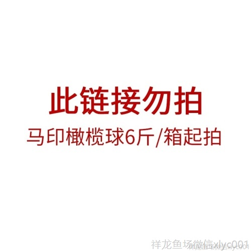 馬印橄欖球魚缸過濾材料魚缸凈水過濾器材細菌屋硝化細菌水質凈化
