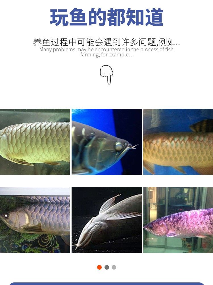 馬印橄欖球魚缸過濾材料魚缸凈水過濾器材細菌屋硝化細菌水質凈化