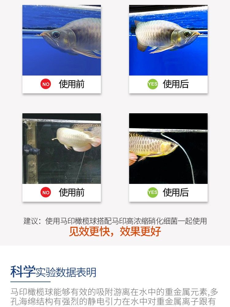 馬印橄欖球魚缸過濾材料魚缸凈水過濾器材細菌屋硝化細菌水質凈化