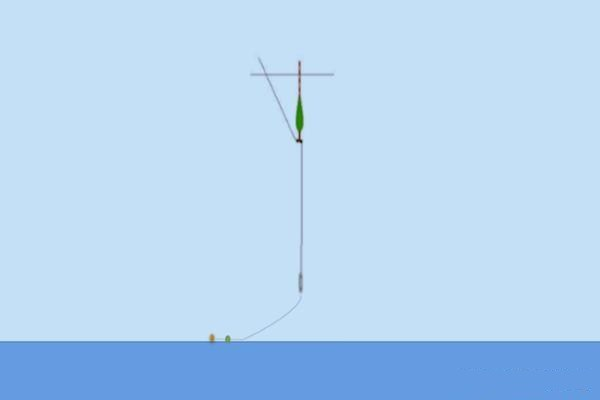 龍魚怎樣繁殖：探秘龍魚繁殖，水中貴族的繁衍奧秘