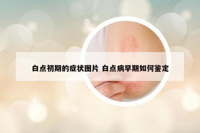 龍魚怎樣才能養白條呢：龍魚與白條混養，打造和諧水族生態的探索
