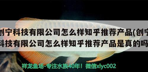 創寧科技有限公司怎么樣知乎推薦產品(創寧科技有限公司怎么樣知乎推薦產品是真的嗎)