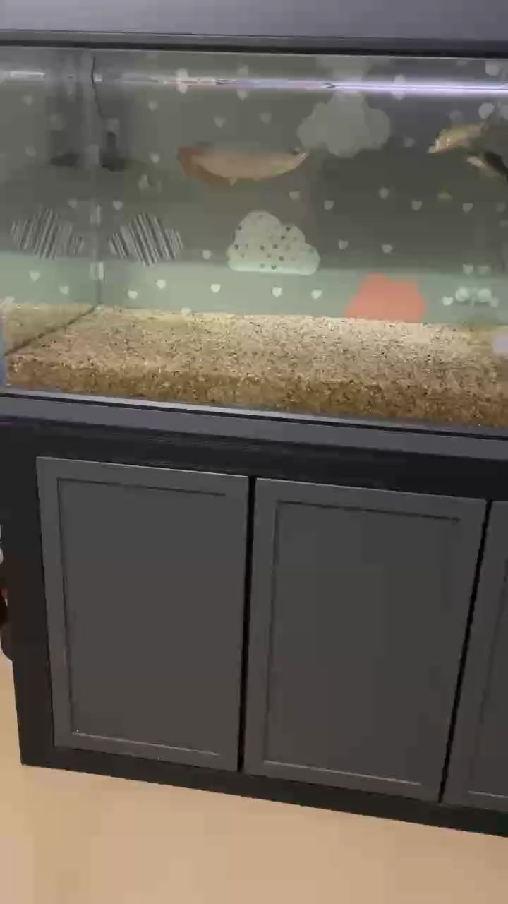 一金一紅