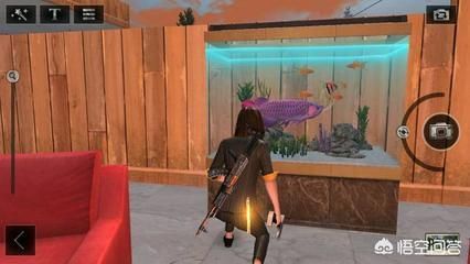 高價值觀賞魚有哪些（農村常見高價值觀賞魚）