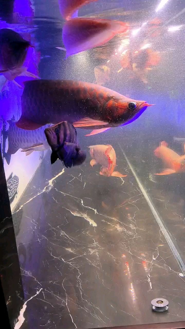 換個角度打卡