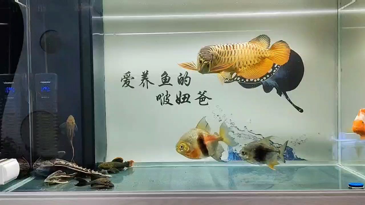 滿一年