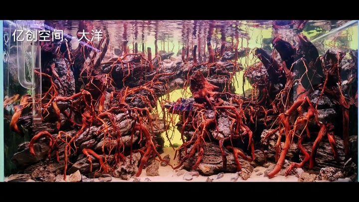 自制魚缸換氣視頻教程大全（自制魚缸換氣機器）