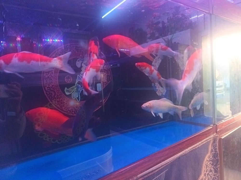 看看我這個吧