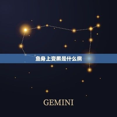 金龍魚尾巴一半紅一半黑為什么不能養