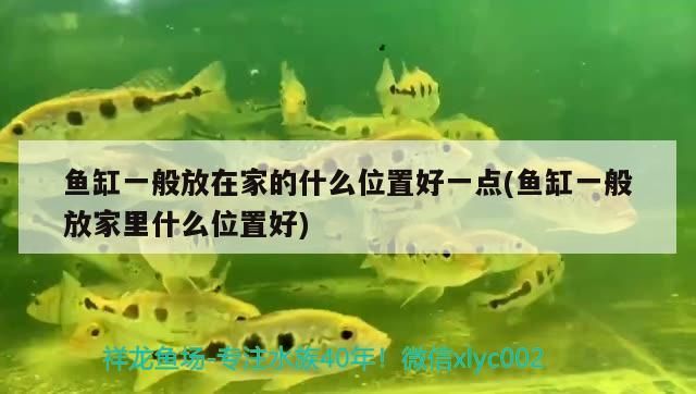 魚(yú)缸一般放在家的什么位置好一點(diǎn)(魚(yú)缸一般放家里什么位置好)