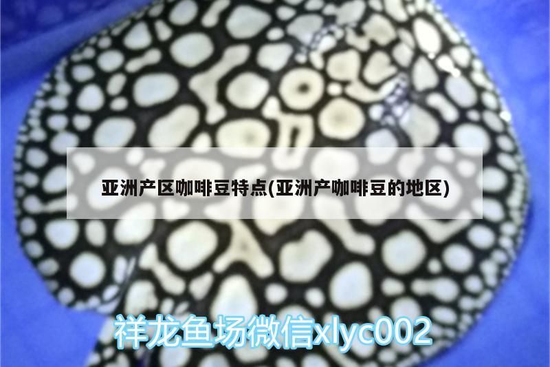 亞洲產區咖啡豆特點(亞洲產咖啡豆的地區)