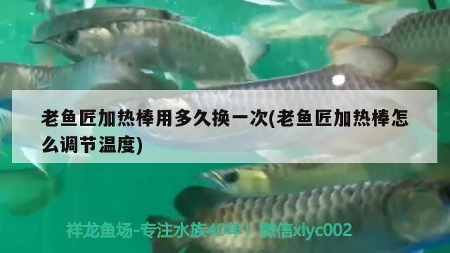 老魚匠加熱棒用多久換一次(老魚匠加熱棒怎么調(diào)節(jié)溫度)