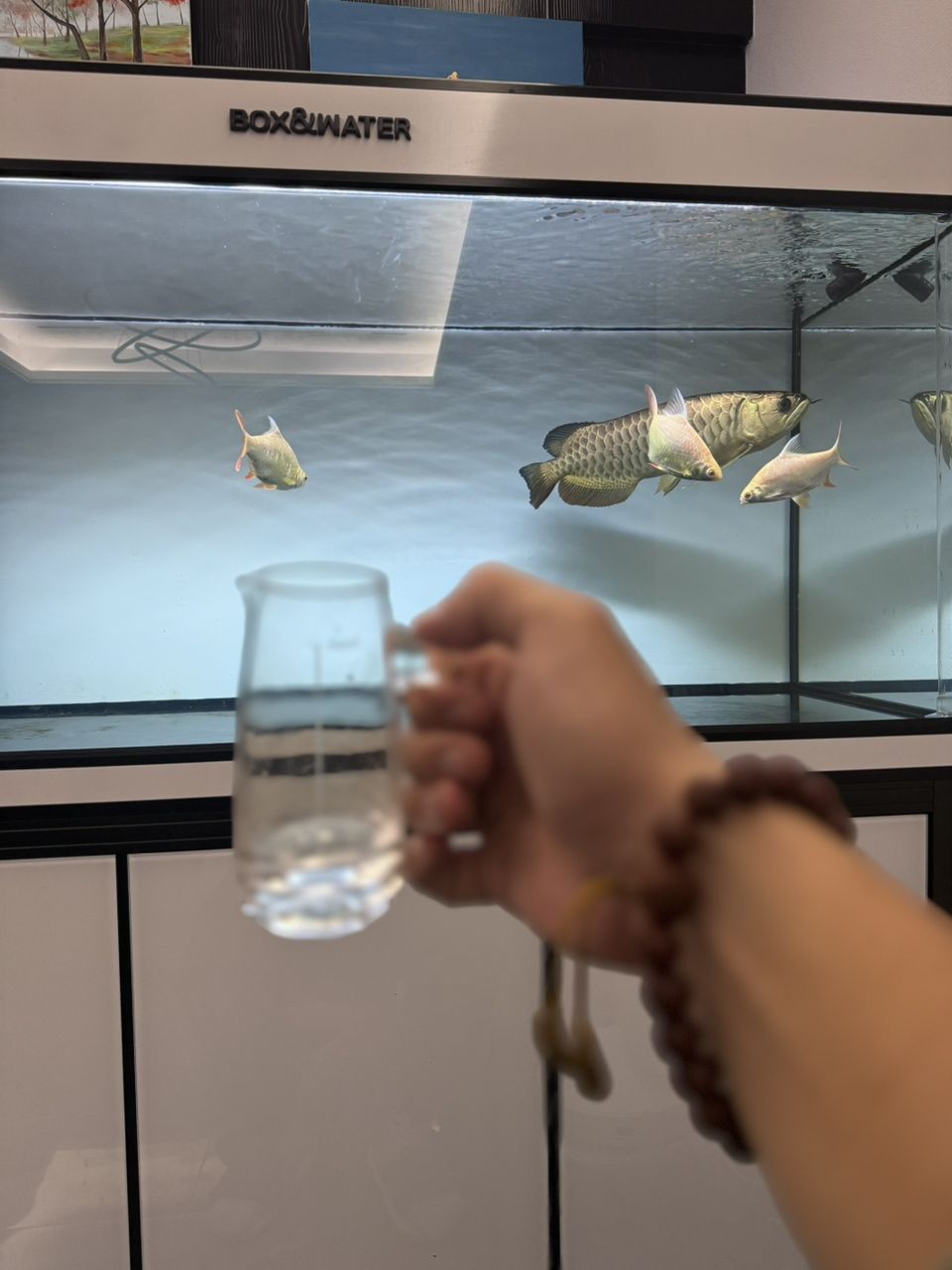 敬生活[dabing]