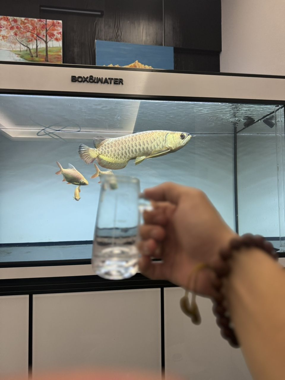 敬生活[dabing]