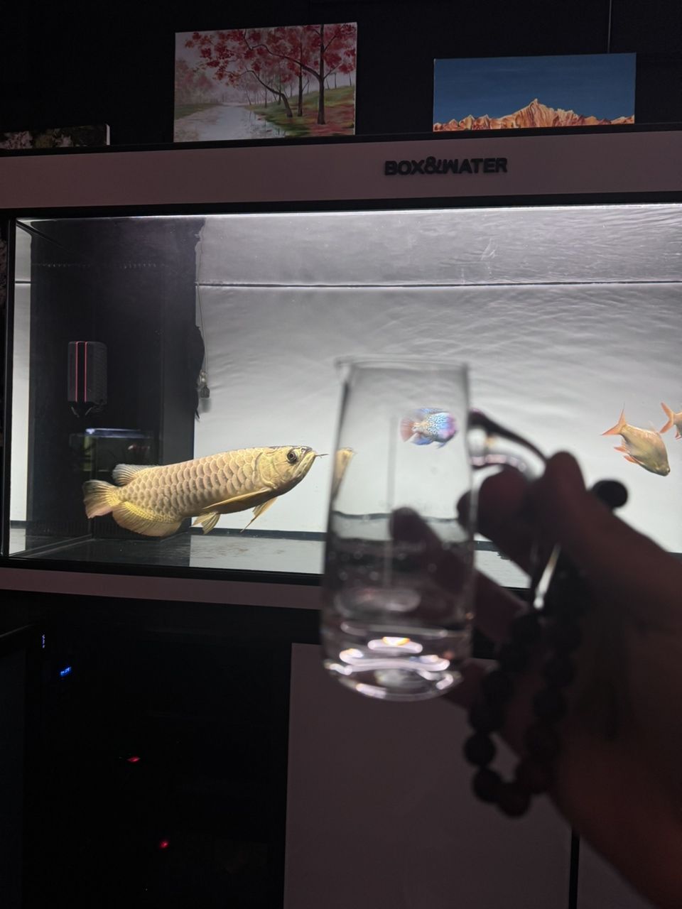 敬生活[dabing]