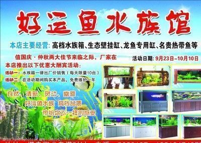龍魚缸推薦品牌vs祥龍魚場：龍魚缸推薦品牌與祥龍魚場之間的關系之前需要明確兩者的區別 龍魚缸推薦品牌vs祥龍魚場：龍魚缸推薦品牌與祥龍魚場之間的關系之前需要明確兩者的區別 vs祥龍魚場 第4張