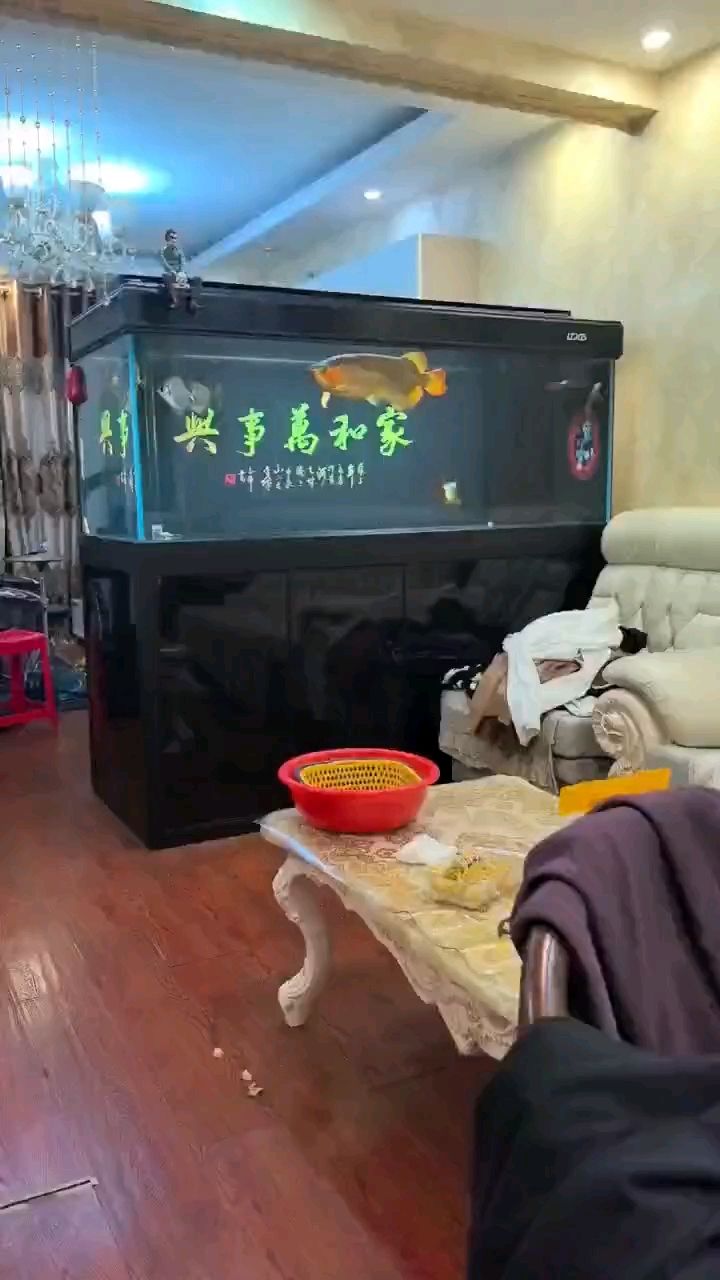不怎么吃，關燈靜養三四天了也不吃