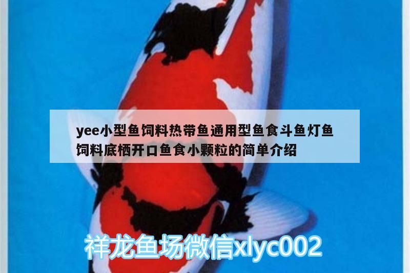 yee小型魚飼料熱帶魚通用型魚食斗魚燈魚飼料底棲開口魚食小顆粒的簡單介紹
