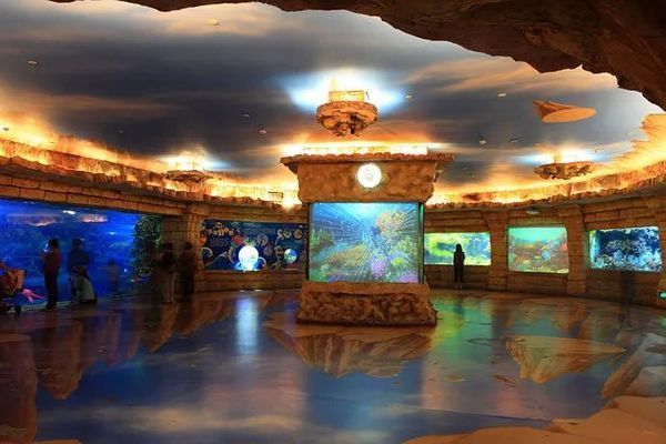 水族館要預約嗎北京（北京海洋館特惠票購買指南） 水族館要預約嗎北京（北京海洋館特惠票購買指南） 水族館百科（水族館加盟） 第5張