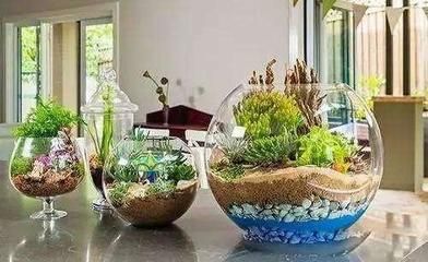 龍魚用什么顏色的背景帖紙好看：龍魚飼養之背景帖紙色彩奧秘，營造適宜環境，彰顯龍魚風采