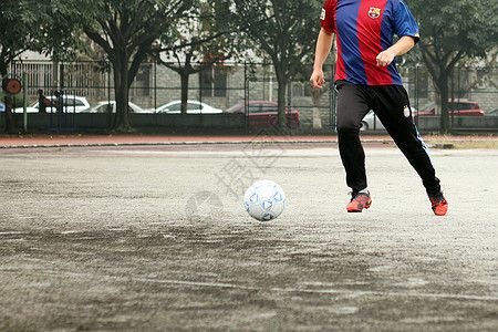 小蝦吃孔雀魚嗎(孔雀魚會吃小蝦嗎_)