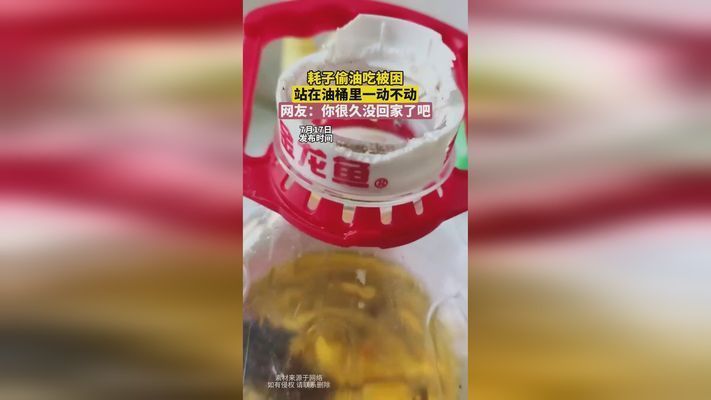 龍魚的種類與鑒別vs祥龍魚場：龍魚的種類及其鑒別