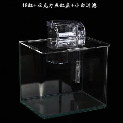 23厘米魚缸：23厘米的魚缸適合養什么樣的魚