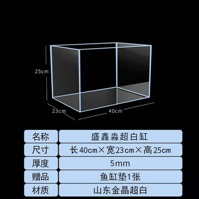 23厘米魚缸：23厘米的魚缸適合養什么樣的魚