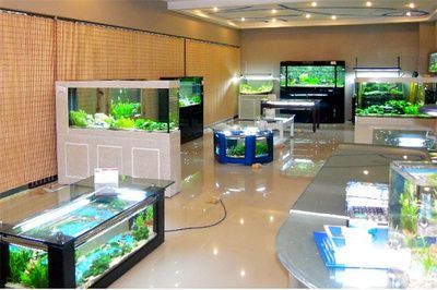 一方水族公司簡介圖片：一方水族公司簡介