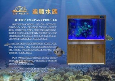 一方水族公司簡介圖片：一方水族公司簡介